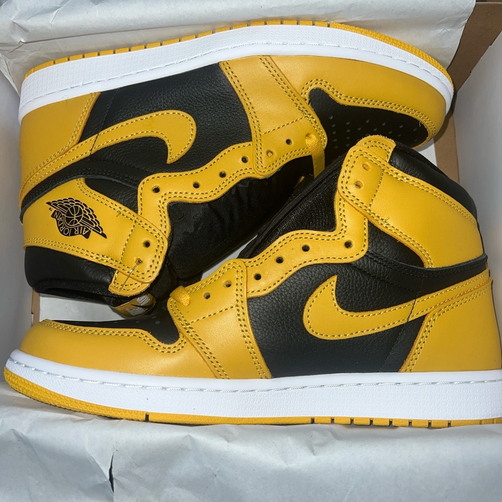AIR JORDAN POLLEN